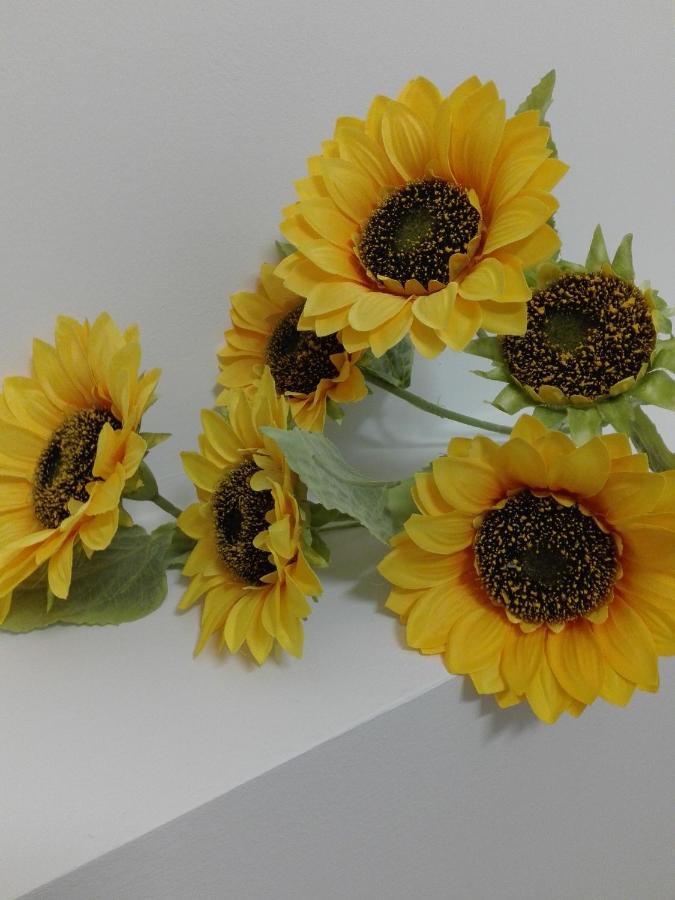 Bed and Breakfast Girasole Grazioli 47 Тренто Екстер'єр фото